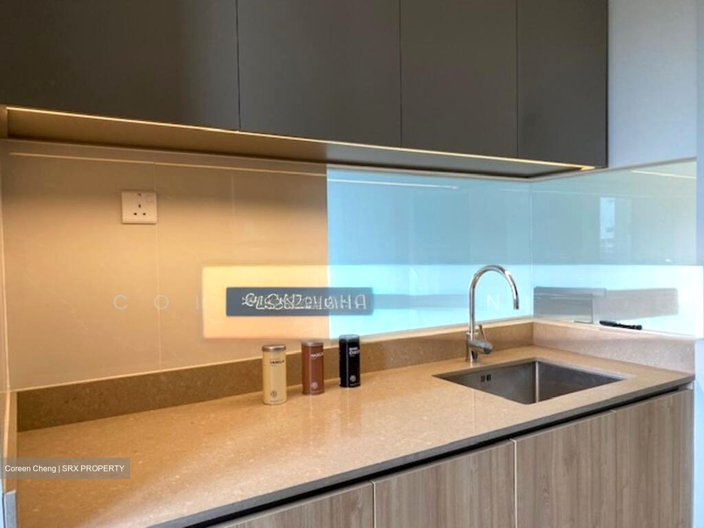 Twin Vew (D5), Apartment #502927011